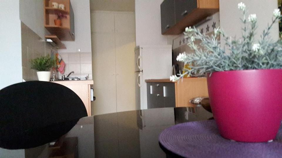 Ferienwohnung Apartman Vega Vukovar Exterior foto